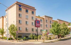 comfort-suites-university-hotel